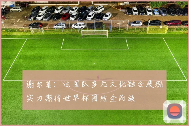 谢尔基：法国队多元文化融合展现实力期待世界杯团结全民族