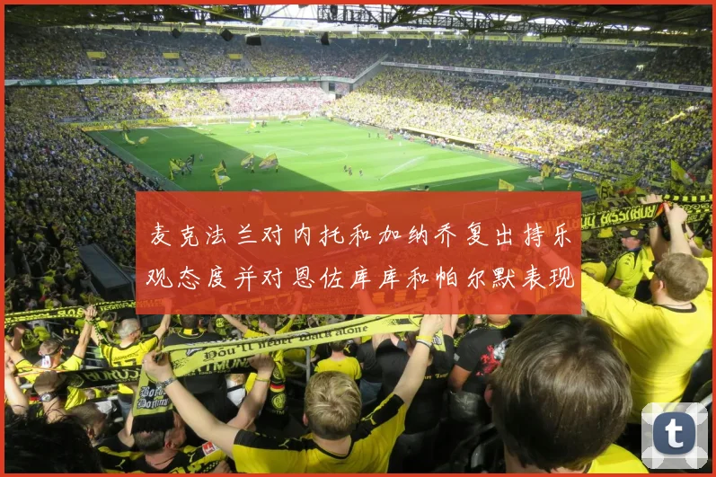 麦克法兰对内托和加纳乔复出持乐观态度并对恩佐库库和帕尔默表现表示满意