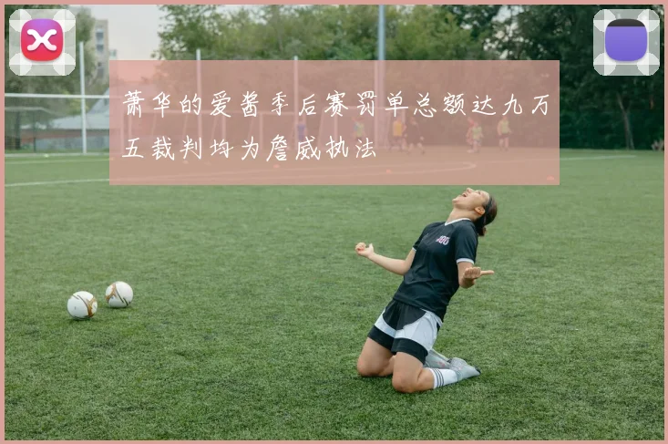 萧华的爱酱季后赛罚单总额达九万五裁判均为詹威执法